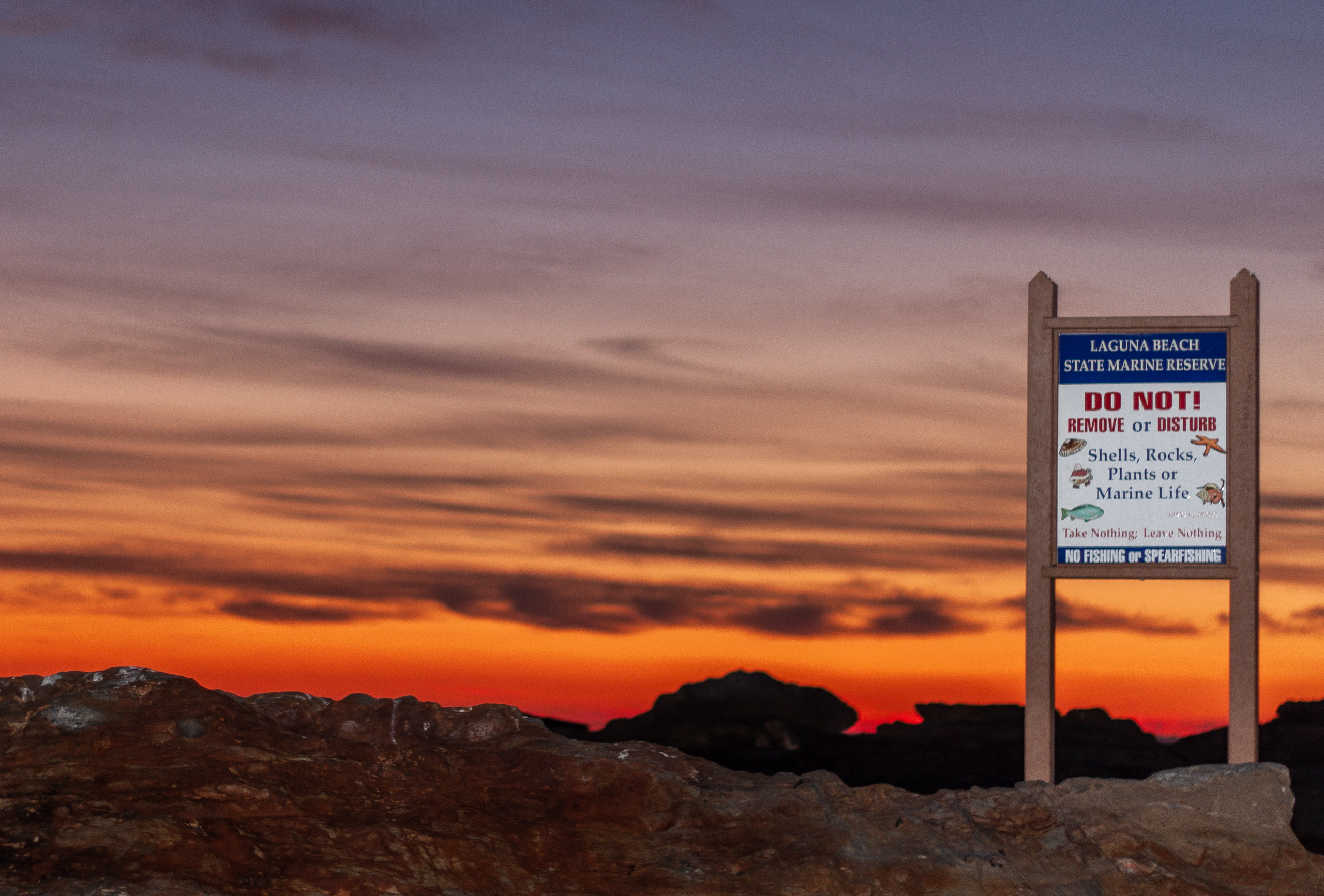 Laguna Beach reef sign